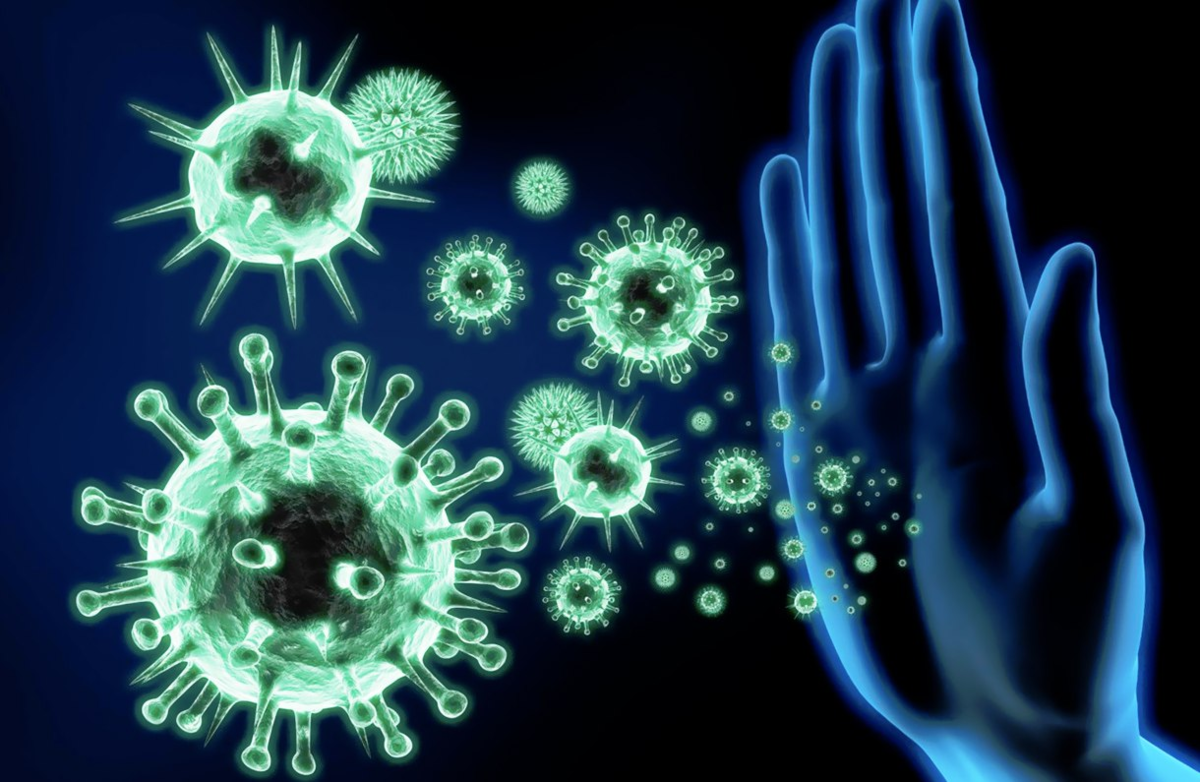 Що таке віруси? Що таке імунітет і як він бореться за нас?