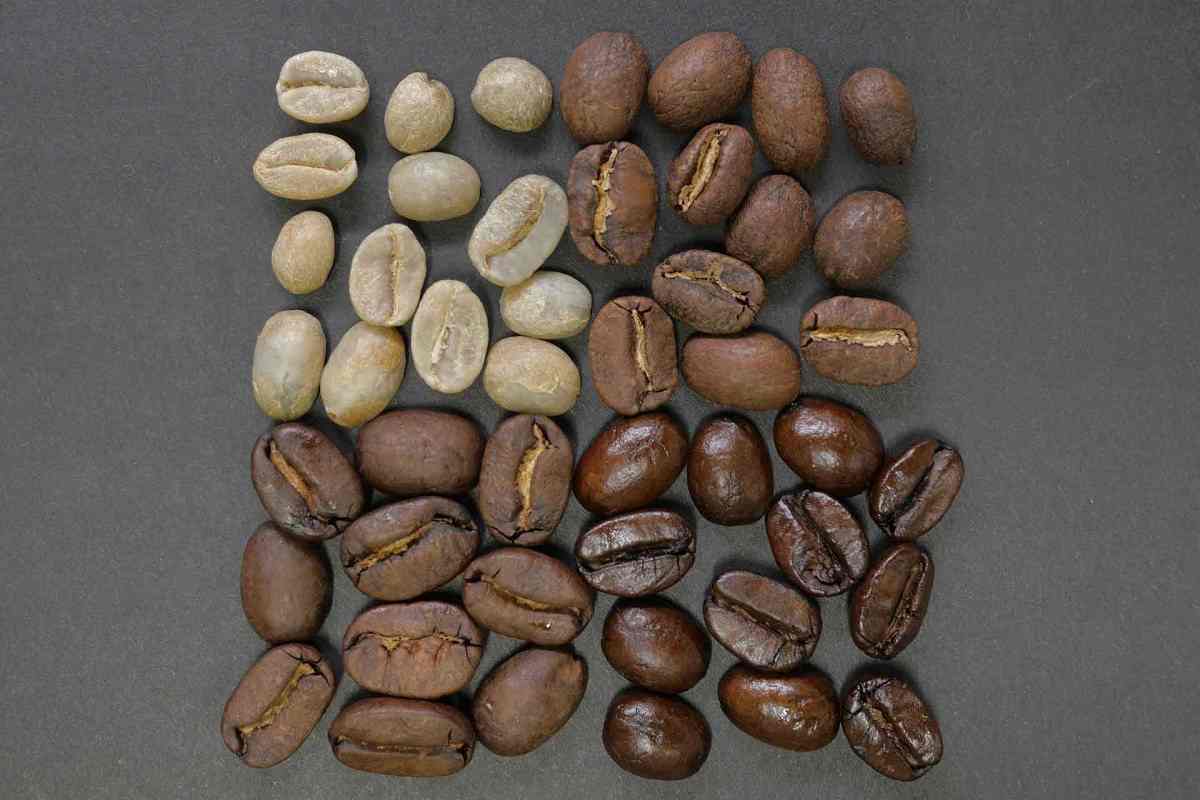 Кофе в зернах – выбор гурманов