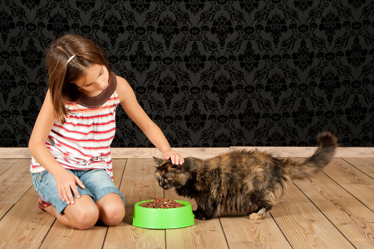 Девочка кормит кошку