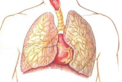 Що таке пневмосклероз легенів: симптоми і лікування