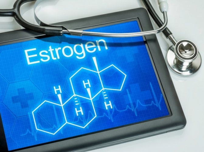 Естрогени - жіночі статеві гормони
