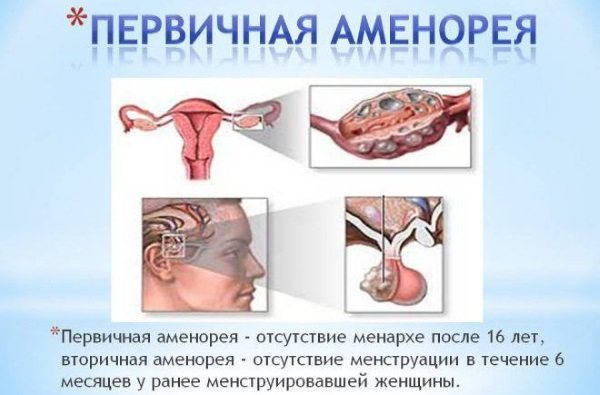 Гормональний фон у жінок: симптоми і ознаки порушення. Як перевірити, нормалізувати. Аналізи, препарати, трави