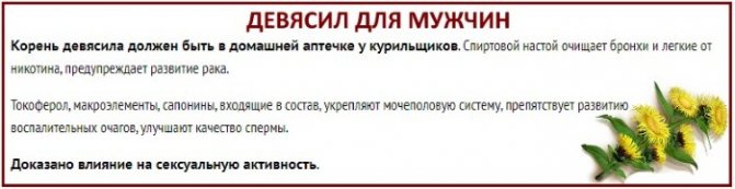 Лікувальні властивості кореня оману. Рецепти, як заготовити, заварювати, приймати траву. Протипоказання