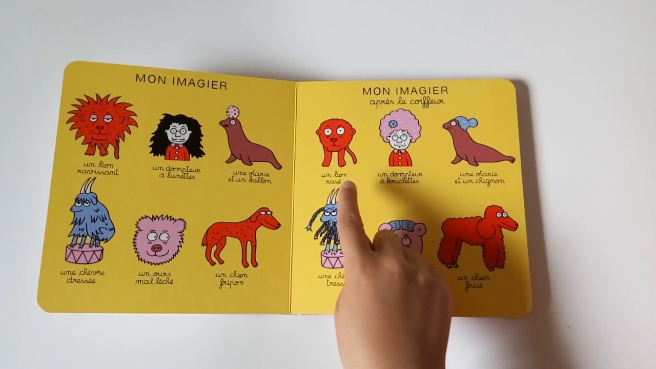 Книги для детей на иностранном языке, французский 