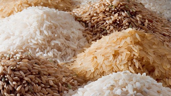 Чи можна їсти рис при гастриті: аргументи за і проти, вибір сорту, відповідні рецепти