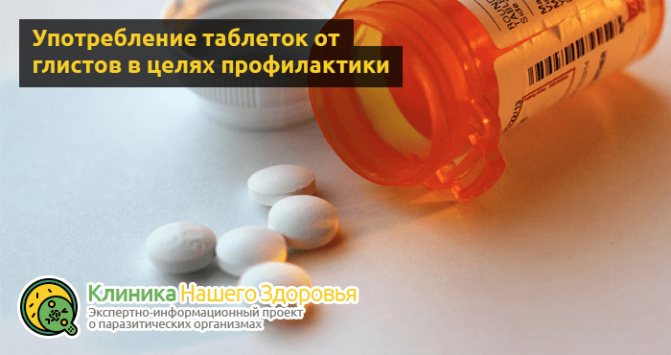 Препарати від глистів: кращі ліки і таблетки від паразитів