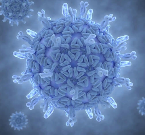 При ротавірусної інфекції ромашка може бути протипоказана через ризик посилення проносу.
