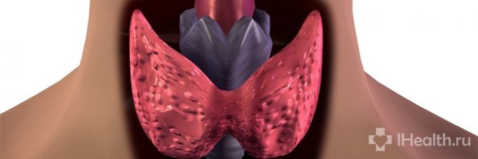 Причини, симптоми і лікування еутиреозу щитовидної залози