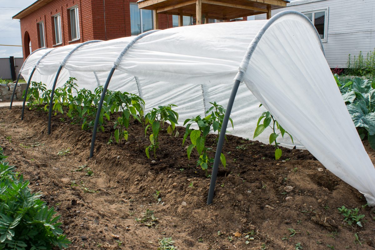 парник из агроволокна