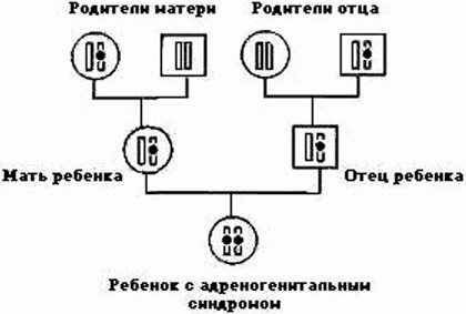 Шлях успадкування адреногенитального синдрому