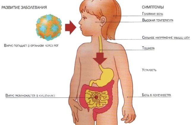 Ротавірусна інфекція у дитини до року, 2-7 років, без температури і проносу. Симптоми і лікування