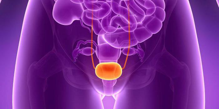 симптоми раку сечового міхура у жінок