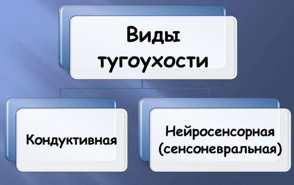 види пріглухуватості